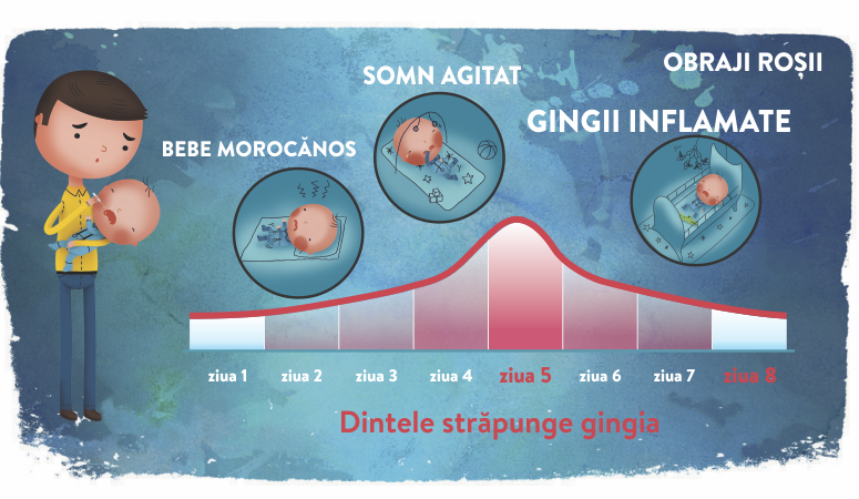 Cronologie